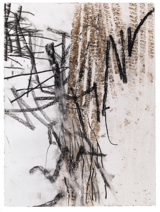 <p><em>Untitled (rd.12.15)</em>, 2012. Charcoal, ink, and dirt on paper. Courtesy of the artist. Photograph by Alan Wiener.</p>
