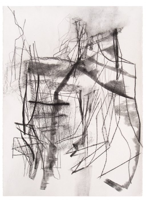 <p><em>Untitled (rd.12.3)</em>, 2012. Ink, graphite, and charcoal on paper. Courtesy of Gallery Joe.</p>
