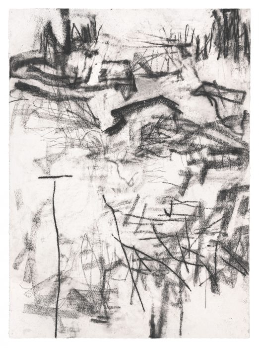 <p><em>Untitled (rd.13.5)</em>, 2013. Ink and charcoal on paper. Courtesy of Margarete Roeder Gallery.</p>
