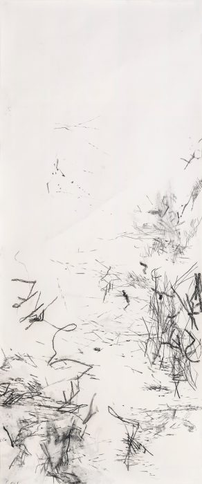 <p><em>Untitled (rdl.12.5)</em>, 2012–2018. Ink, charcoal, and graphite on paper. Courtesy of the artist. Photograph by Alan Wiener.</p>
