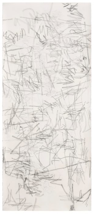 <p><em>Untitled (rdl.14.1)</em>, 2014. Charcoal on paper. Courtesy of the artist. Photograph by Alan Wiener.</p>

