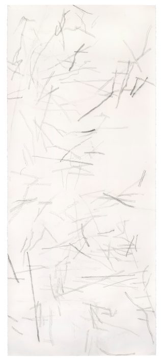 <p><em>Untitled (rdl.14.2)</em>, 2014-2018. Charcoal, graphite, and ink on paper. Courtesy of the artist. Photograph by Alan Wiener.</p>
