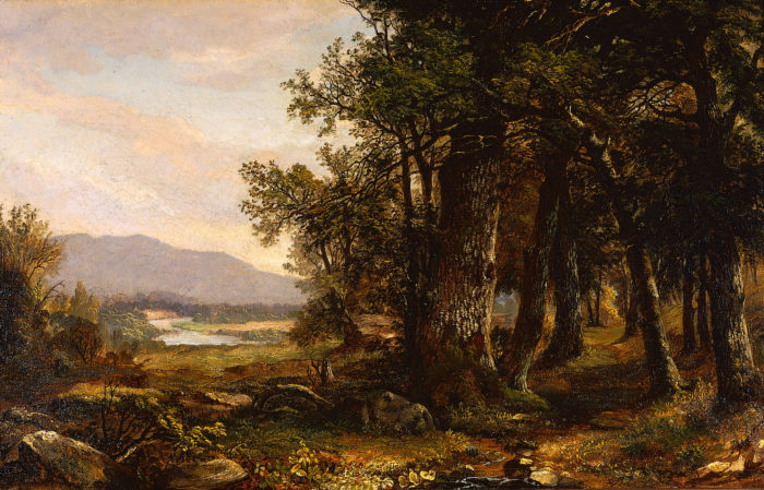 <p>Asher B. Durand (American, 1796–1886). <em>Landscape</em>, ca. 1855–60. Oil on canvas. Gift of Mrs. George J. Stengel, by exchange, 2000 (2000.01).</p>
