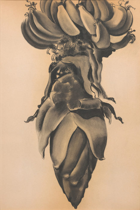 <p>Georgia O’Keeffe (American, 1887–1986). <em>Banana Blossom</em>, 1934. Charcoal on paper. Collection of the Hudson River Museum. Bequest of Carl E. Hiller, 1992 (92.1.1). © 2018 Georgia O’Keeffe Museum / Artists Rights Society (ARS), New York, NY.</p>
