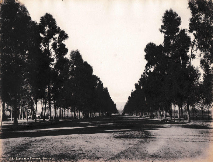 <p>Photographer unidentified. <em>Paseo de la Reforma, México</em>, ca. 1875–95. Albumen silver print. Gift of Alan Schlussel, 1989 (89.11.100).</p>
