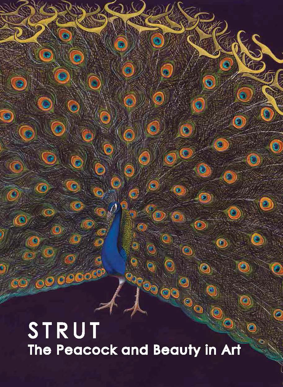 publication-2014-strut